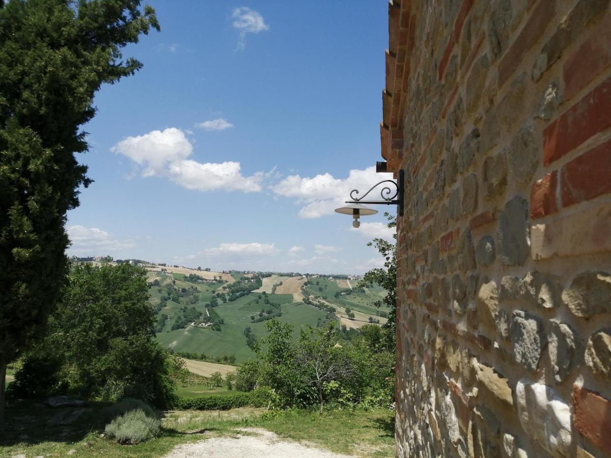 Casale San Martino Agriturismo Bio Sant'Angelo in Pontano Kültér fotó