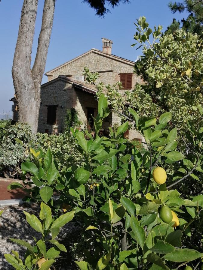 Casale San Martino Agriturismo Bio Sant'Angelo in Pontano Kültér fotó