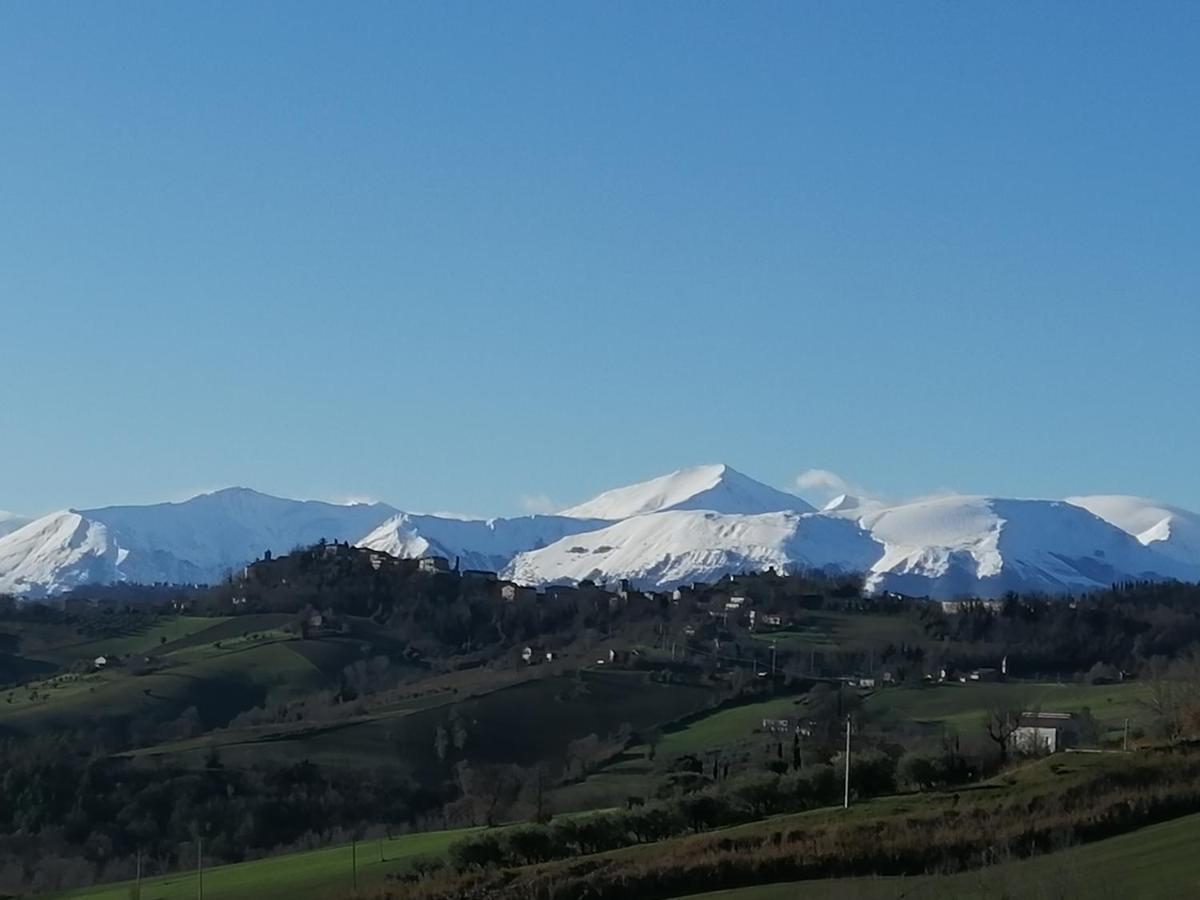 Casale San Martino Agriturismo Bio Sant'Angelo in Pontano Kültér fotó
