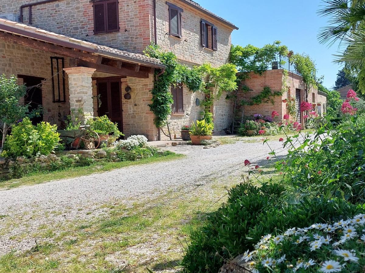 Casale San Martino Agriturismo Bio Sant'Angelo in Pontano Kültér fotó