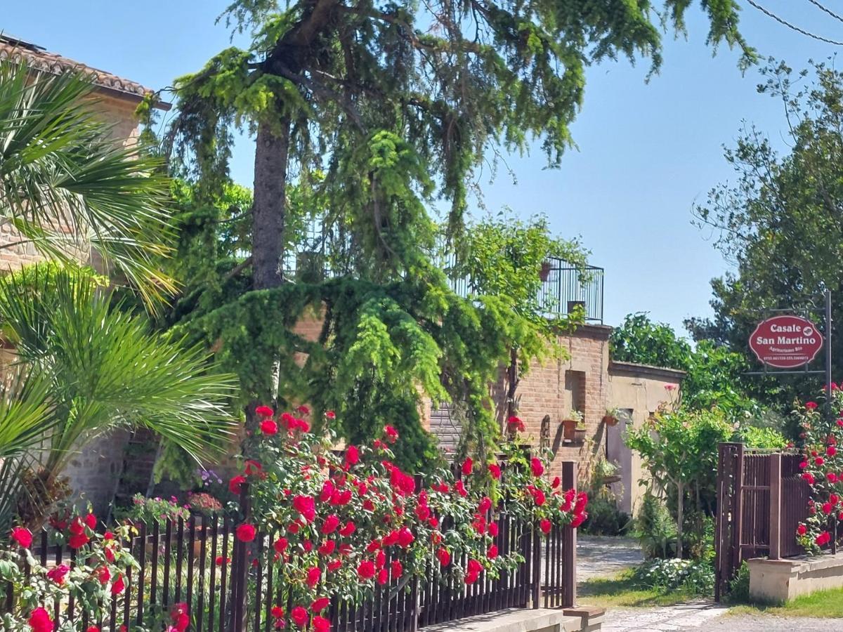 Casale San Martino Agriturismo Bio Sant'Angelo in Pontano Kültér fotó