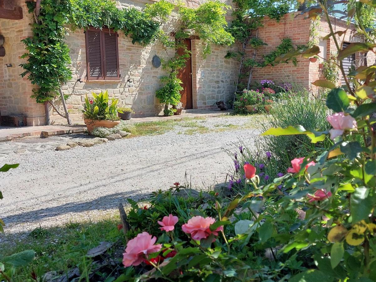 Casale San Martino Agriturismo Bio Sant'Angelo in Pontano Kültér fotó