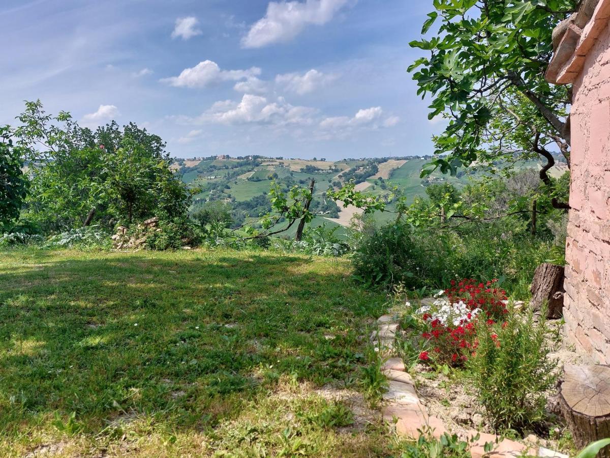 Casale San Martino Agriturismo Bio Sant'Angelo in Pontano Kültér fotó