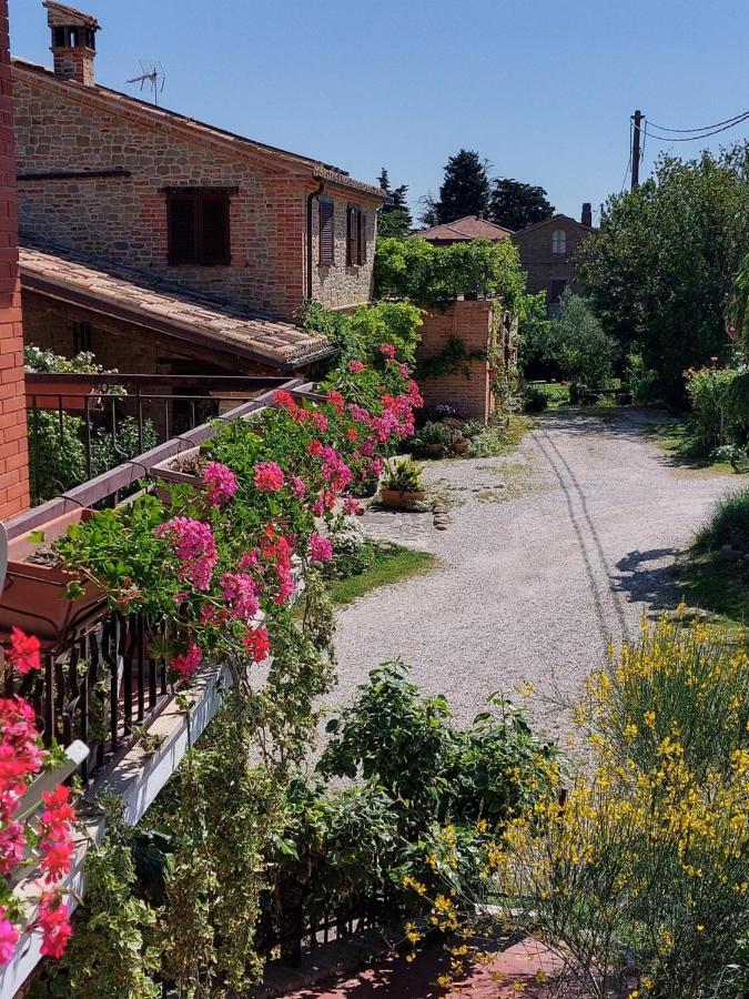 Casale San Martino Agriturismo Bio Sant'Angelo in Pontano Kültér fotó