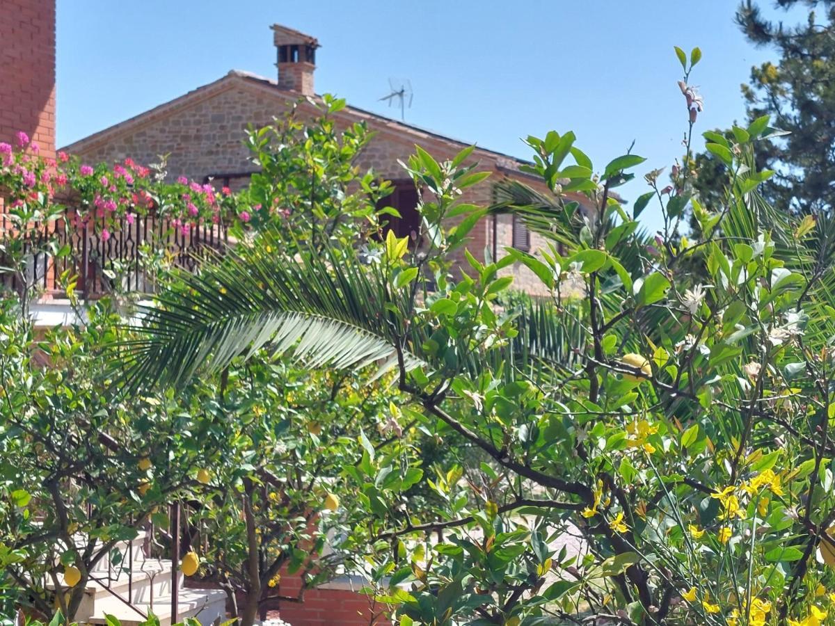 Casale San Martino Agriturismo Bio Sant'Angelo in Pontano Kültér fotó