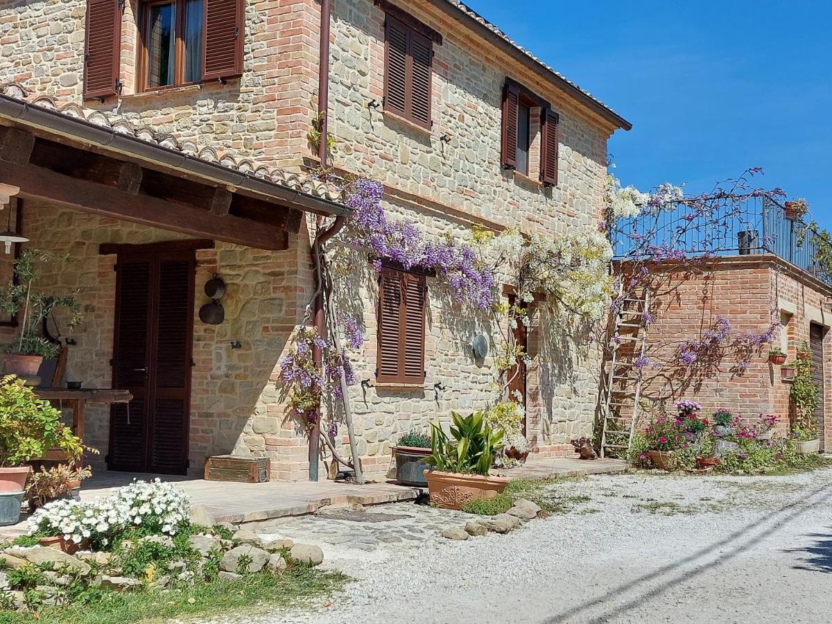 Casale San Martino Agriturismo Bio Sant'Angelo in Pontano Kültér fotó