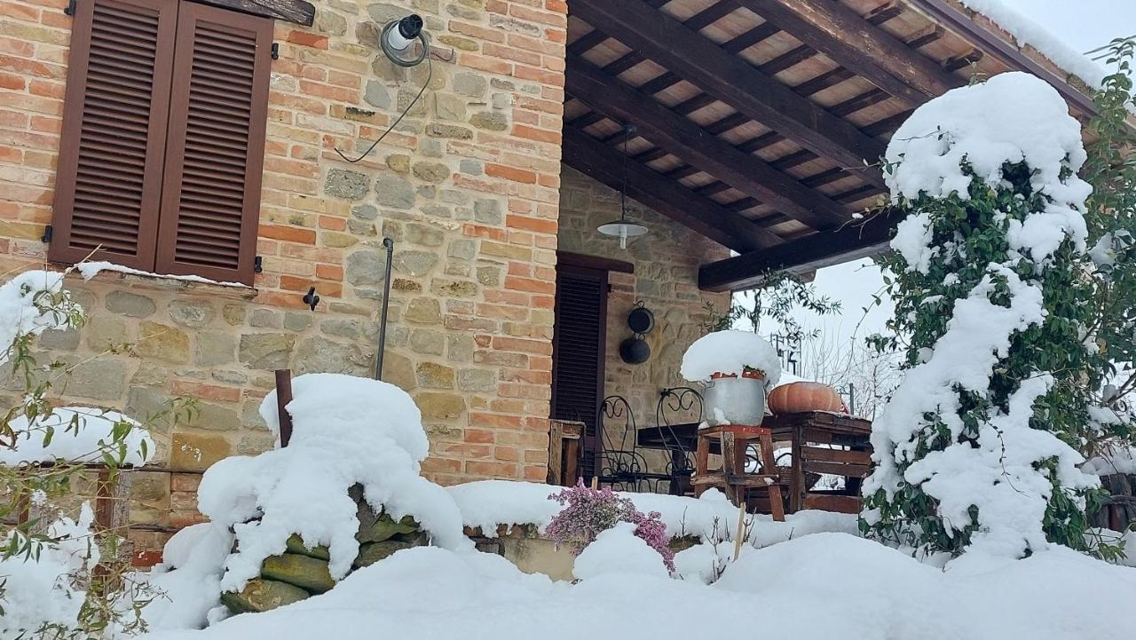 Casale San Martino Agriturismo Bio Sant'Angelo in Pontano Kültér fotó