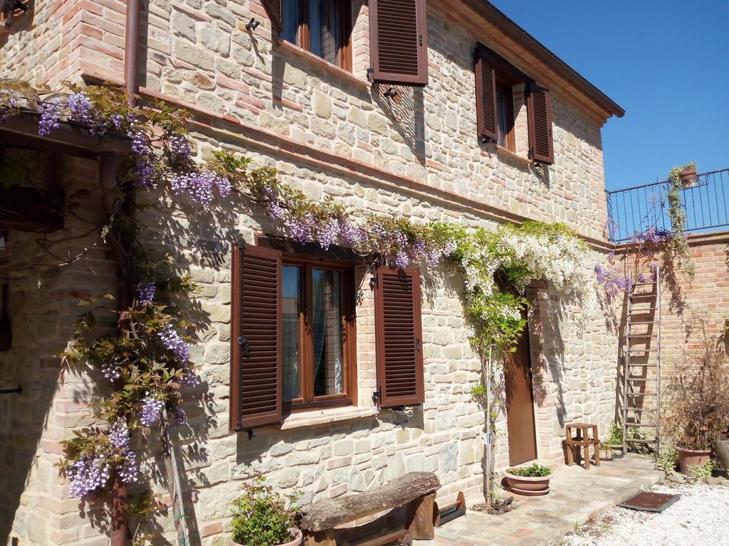 Casale San Martino Agriturismo Bio Sant'Angelo in Pontano Kültér fotó