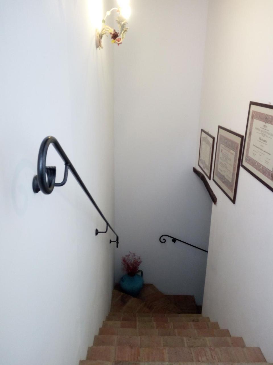 Casale San Martino Agriturismo Bio Sant'Angelo in Pontano Kültér fotó