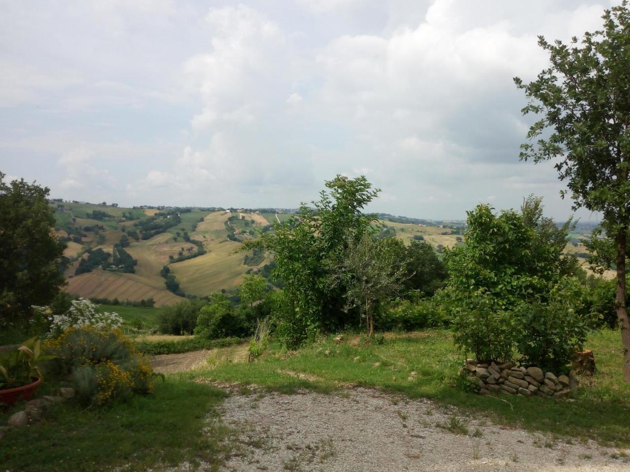 Casale San Martino Agriturismo Bio Sant'Angelo in Pontano Kültér fotó